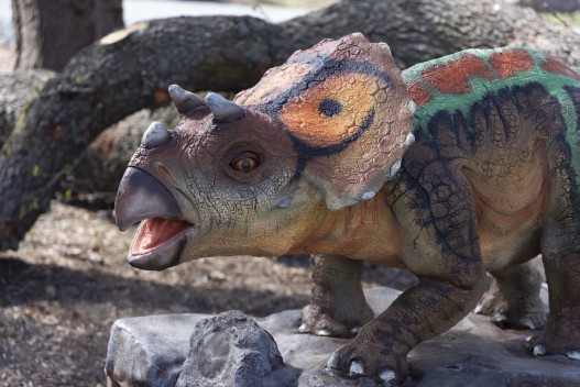 Dinosaur exhibit: Triceratops