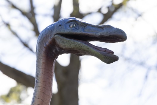 Dinosaur exhibit: Ornithomimus