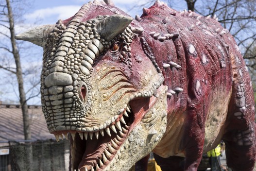 Dinosaur exhibit: Carnotaurus