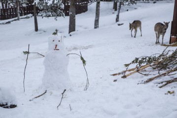Snowman vs Pere David's deer