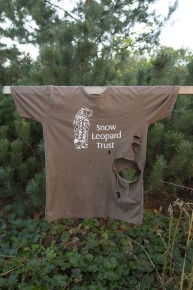 T-shirt restyling by snow leopard cubs