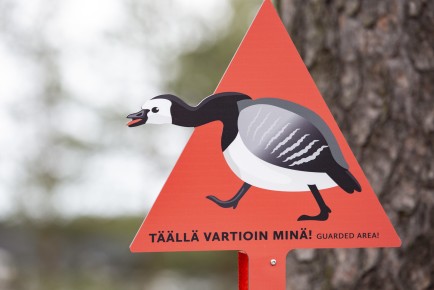 Goose info signs