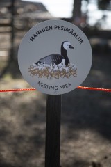 Goose info signs