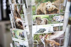 Zooveniers: Korkeasaari postcards (2019)