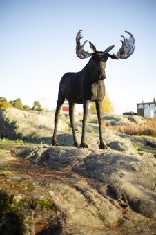 Metal moose statue
