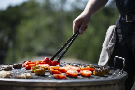 Grill your own lunch at the zoo!