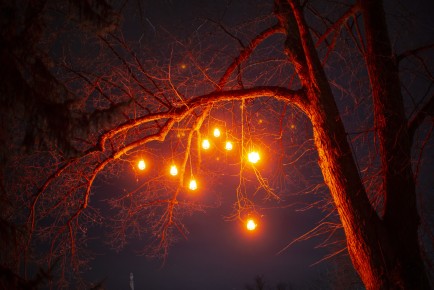 Lux Korkeasaari lights
