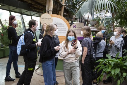 Kids testing AR content in tropical houses