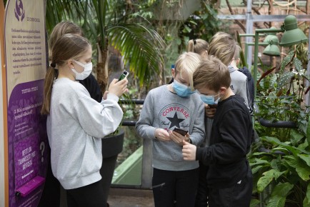 Kids testing AR content in tropical houses