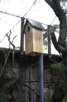 Owl nestbox research