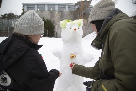 Building snowpeople for the bears