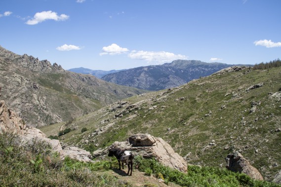 Corsica mountainrange