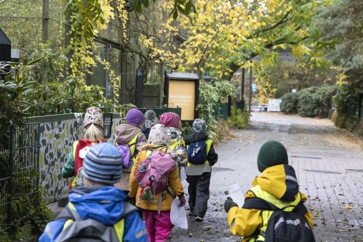 Kids visiting the zoo with kindergarden group