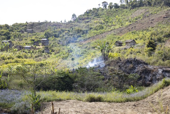 Slash and burn happening near Andasibe, Madagascar