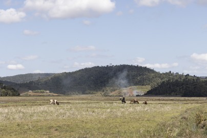 Farming  in Andasibe area, Madagascar
